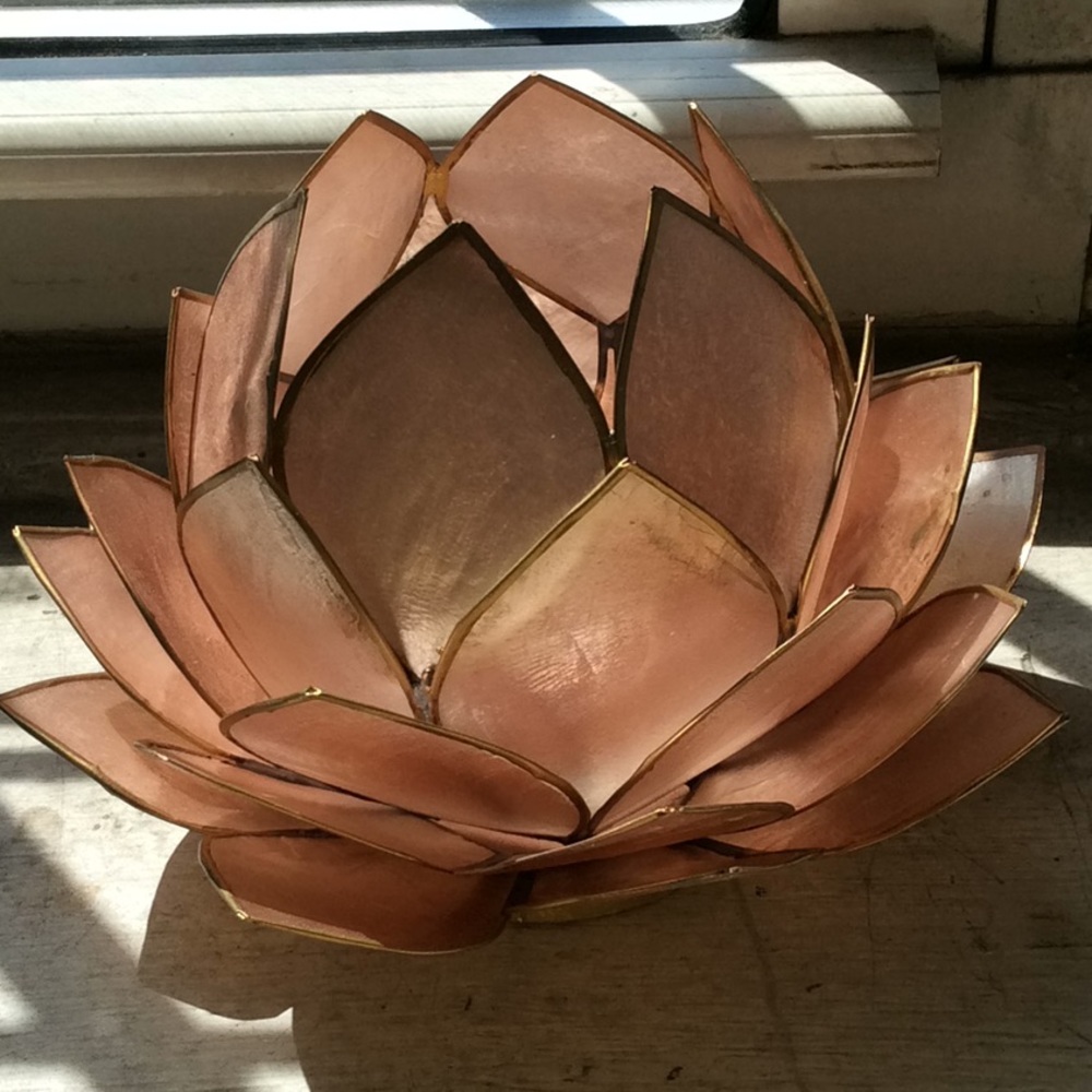 Meet your Posher, Anne